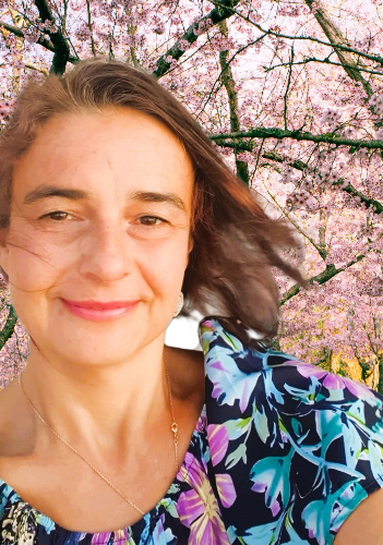 Przykładowe zdjęcie